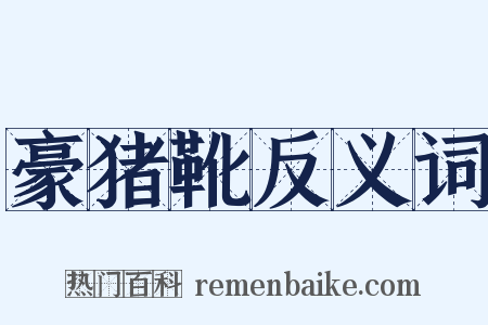 豪猪靴反义词是什么意思的图片